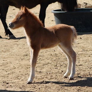 Destiny 2 weeks 4 W.jpg